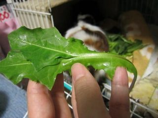 0506_1.jpg
