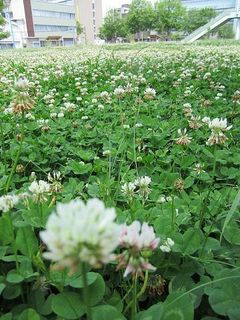 20160508_5.jpg