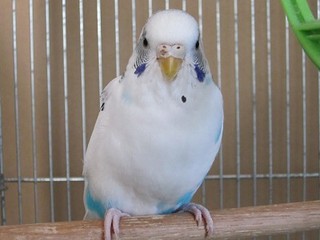 20160626_3.jpg