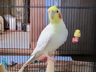 20160626_4.jpg