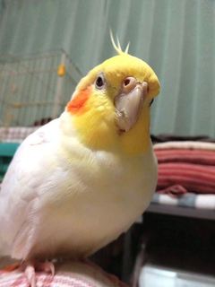 20161225_3.jpg