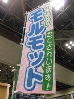 20170531_2.jpg