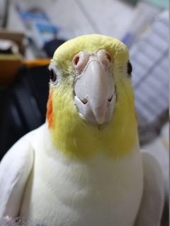 20171224_4.jpg