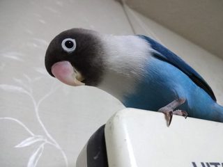 20171224_6.jpg