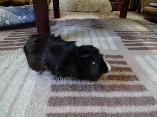 20180401_2.jpg