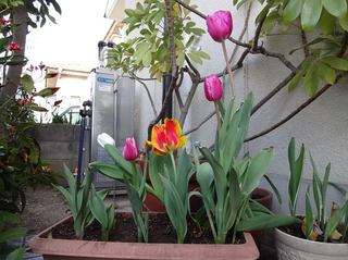 20180408_2.jpg
