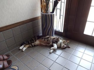 20180722_2.jpg