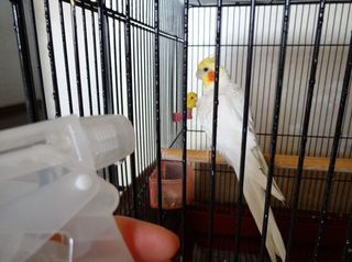 20180805_3.jpg