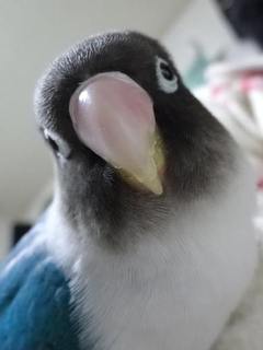 20190101_3.jpg