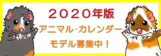 2020_ca_b.jpg