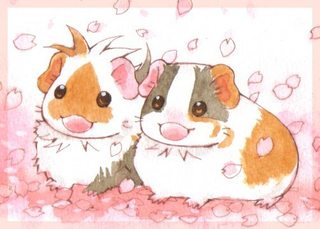 sakura2018_02.jpg