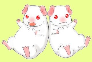 tunagari02.jpg